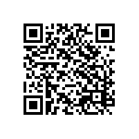 广州saas通关平台快速过关？报关云平台的好选择是？
