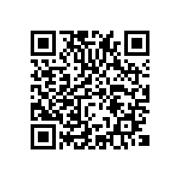 广州现代关务软件加速了通关效率？AEO报关智能系统选哪个品牌？