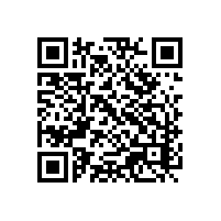 很多企业在日常报关数据统计时有哪些要点？哪款能进行数据统计分析湖北报关软件品牌哪家优秀？
