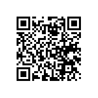 海关aeo认证企业标准中有要求配备aeo认证关务系统吗？山东aeo认证辅导有哪些比较有实力的机构？