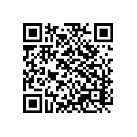 海关政策更新滞后影响大不大呢？越南关务系统能否避免这种问题？