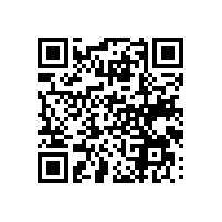 湖南报关系统优化皮具企业的管理吗？报关软件帮助企业优化后对企业有哪些辅助？