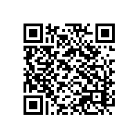 还为集团通关的不便困扰？山西aeo关务软件有哪些可供选择？