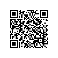 海运舱单申报麻烦的地方？广深地区用9810报关云平台的好处？
