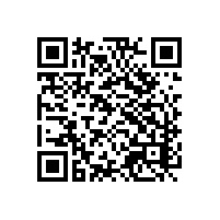 海运舱单通关有什么小麻烦？广深地区用AEO报关云平台的好处？