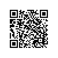 河源惠州东莞关务智能系统的优势是什么？河源AEO智能关务软件有没有操作简单价格又便宜的推荐？