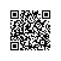 河源食品饮料企业能不能用关务系统？软件选型建议有么？