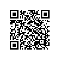 进出口都喜欢用关务管理软件是什么原因？广州进出口企业的报关系统选择谁家？