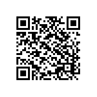 进出口企业aeo认证报关系统有哪些？有哪些关务管理软件是适合广州报关企业的？