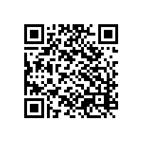 进出口企业的报关系统要根据什么选择？广西报关系统功能满足企业的要求吗？