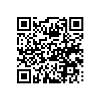 进出口企业借助AEO关务软件实现高效管理吗？广州进出口企业怎么挑选适合的AEO认证报关系统？