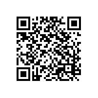 进出口企业选择的是哪家的报关软件系统？湖南湖北进出口企业关务管理系统价格有少吗？