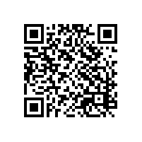 键盘用品企业报关软件系统如何与海关单一窗口对接？报关软件系统的长期使用成本如何评估？