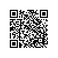 江苏电子关务具备哪些价值？苏州信息报关软件为企业带来什么优势？