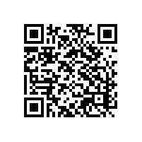 计算机关务管理系统主要能解决越南中资企业的报关问题是哪些？