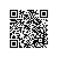 江西布娃娃企业申请高级aeo认证能成功吗？有哪些aeo认证辅导机构？