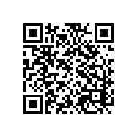 江西布娃娃企业要成为高级aeo认证的原因？高级aeo认证辅导企业推荐谁家品牌？