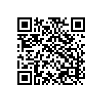 机械化报关系统如何体现出安全和稳定性？选择一个安全的越南关务软件要看啥？