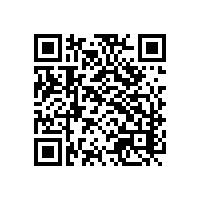 江西南昌地区AEO报关系统主要面向哪些类型的企业？江西南昌加工贸易企业通常用哪些报关系统安全可靠？