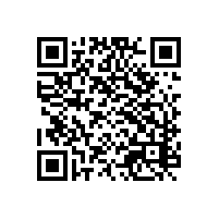 江西南昌地区AEO报关系统主要面向哪些类型的企业？江西南昌加工贸易企业通常用哪些报关系统安全可靠？