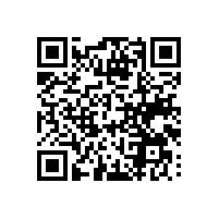 每个企业都需要用到关务报关系统吗？广西进出口报关软件企业中意谁家的系统？