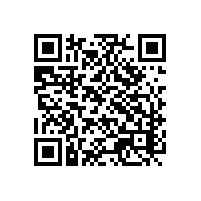 宁波吸尘器加工贸易关务管理有哪些技巧？福建浙江的AEO智能化报关软件系统适用于越南公司的工厂吗？