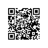 能看懂越南语真是个难题，越南通关系统支持中文界面操作？