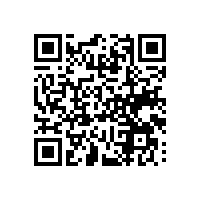 皮具企业选择报关软件成本效益怎么合适？湖南报关软件在成本效益方面有优势吗？
