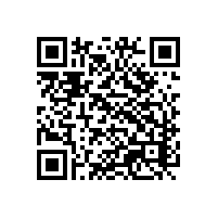 品牌饮料厂能不能用关务系统？河源电子软件选型建议有么？