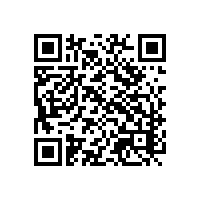 青岛关务报关系统企业有用得上的吗？ai智能学习机企业报关软件功能好的有谁家？