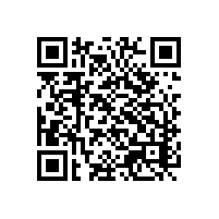 企业报关软件的关务管理系统有详细介绍吗？广州报关软件有哪些经验的品牌可以解决什么问题？