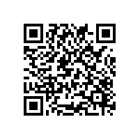 企业报关软件更新频率反映什么问题？广西企业报关软件，能否帮助企业控制报关成本？