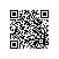 企业的关务管理软件要有哪些特点？外贸企业使用的报关系统湖北湖南哪家比较实用？