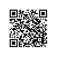 企业关务进展不顺？苏州AEO报关顾问能提供哪些实质帮助？