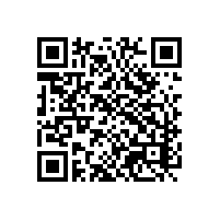 企业选报关软件系统辅导，企业案例参考价值几何？越南五金企业报关软件系统辅导，培训方式合适有多重要？