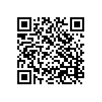 企业需要通过海关什么标准条件才能获得AEO高级认证？重庆四川AEO高级认证辅导培训机构哪家服务比较好？