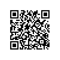 企业要报关能用第三方的软件吗？哪些关务系统比较合适广州广西进出口企业使用？