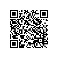 企业一定要aeo认证辅导对厨具企业有用吗？厂小，辅导软件会不会太复杂用不来？