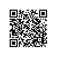 企业业务是不是需要AEO认证辅导？上海AEO认证辅导团队能提高什么服务？