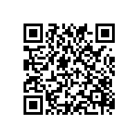 企业找AEO认证辅导团队能解决哪些疑难？上海哪家aeo认证辅导机构提升成功率？