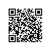 企业做aeo认证要关务系统吗？广西企业使用aeo报关软件和其他系统有什么不同？