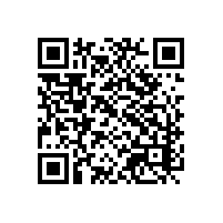 日常报关运输安排有哪些要点？河北选择哪款关务系统能跟踪货物运输？