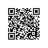 人工智能关务系统优秀直观体现？越南实际运用案例？