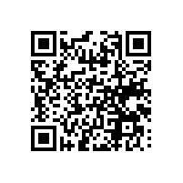 如何评估报关管理系统的易用性和本土化程度？越南的报关管理系统的稳定性对中资企业的重要？