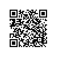 如何选外贸企业的关务管理系统？江西有哪家报关软件机构性价比高？
