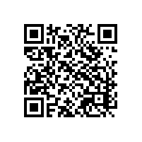 saas报关云平台的技术精湛？广东广西推荐的智能通关平台？