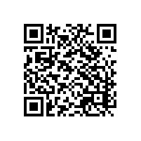 四川传统通关与电子系统的对比？成都有AEO关务软件推荐吗？