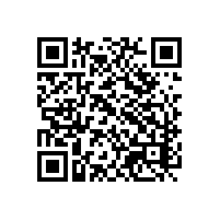 四川果业用智慧信息化关务系统能够精准归类货物出口吗？