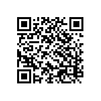 四川重庆AEO关务系统智能软件系统稳定吗？重庆“渝车出海”啥关务软件做资料合适？