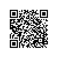 山东电动汽车用AEO关务管理软件是否能更轻松的应对大量出口报关？山东智能报关软件哪家好？